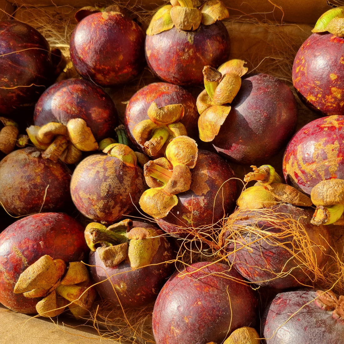 Mangosteen - Eine tropische Superfrucht?