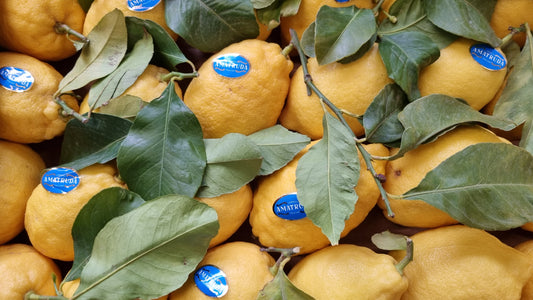 Amalfi Zitronen - mehr als "nur" eine Zitrone!