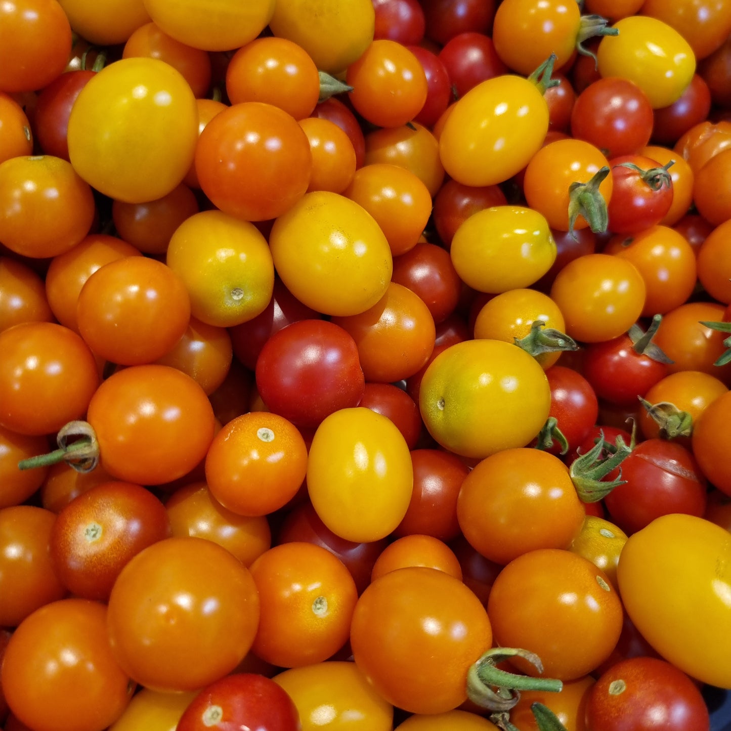Tomaten Stürzerhof (250 g)