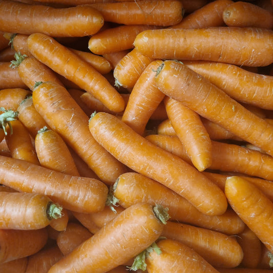 Karotten (1 Stück)