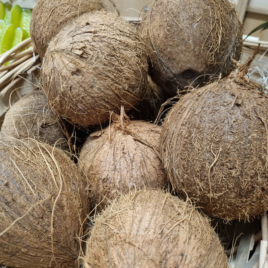 Kokosnuss (1 Stück)