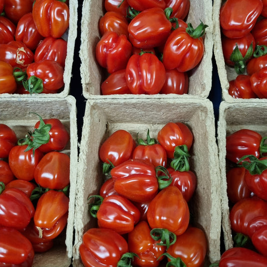 Radetto Tomaten (250g)